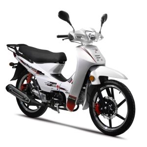 МОТИЦИКЛЕТ ТИП ПАПАКИ DAYTONA DY 125RS